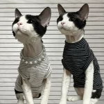 Breathable Stripes Tank Tops for Cats