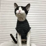 Breathable Stripes Tank Tops for Cats - Black