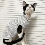 Breathable Stripes Tank Tops for Cats - White
