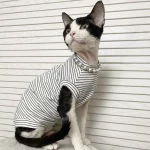 Breathable Stripes Tank Tops for Cats - White