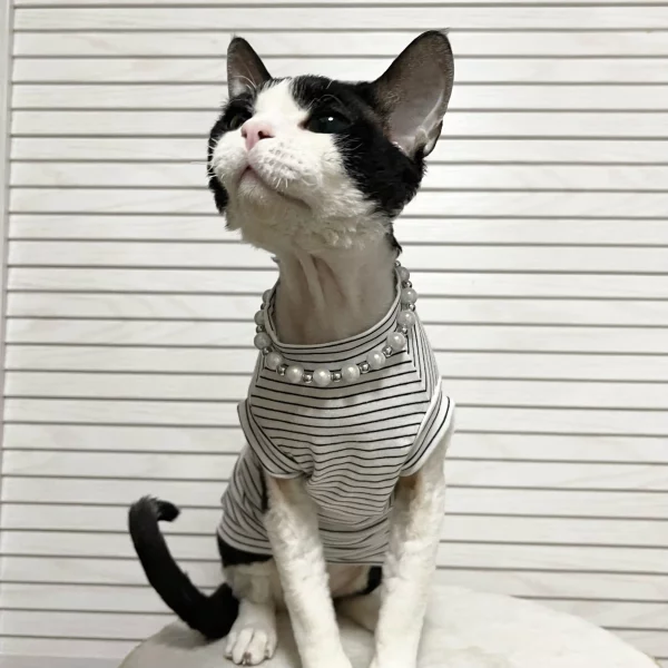 Breathable Stripes Tank Tops for Cats - White