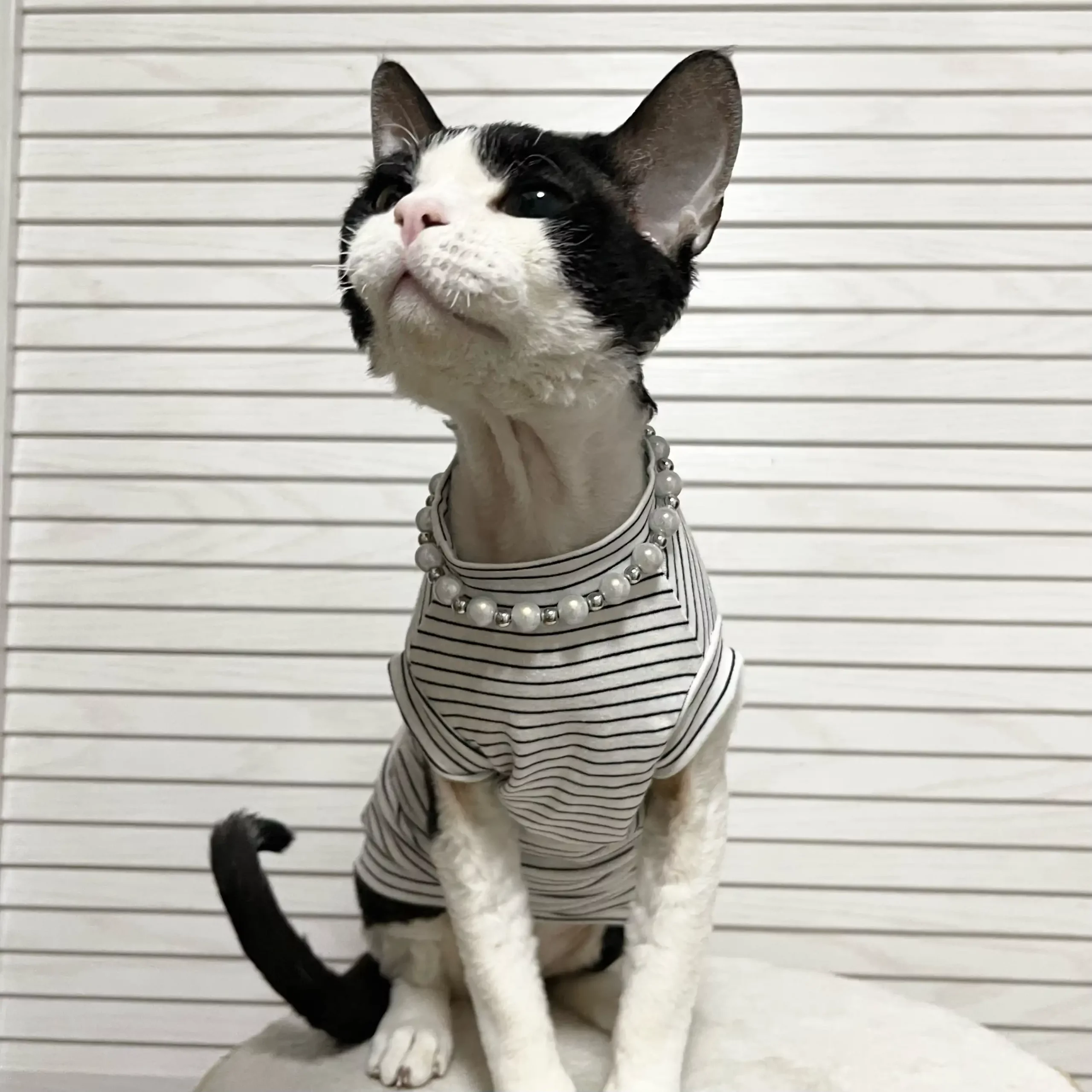 Breathable Stripes Tank Tops for Cats · YESWARMG