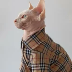 Burberry T-Shirt for Cats