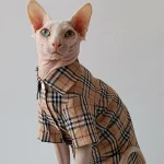 Burberry T-Shirt for Cats