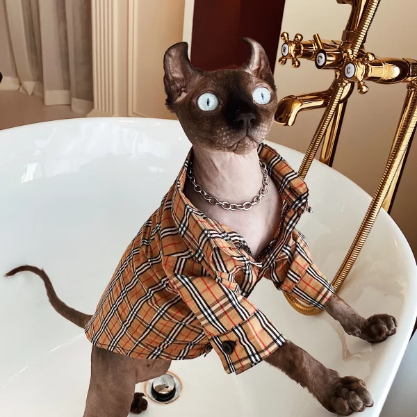 Burberry T-Shirts for Sphynx