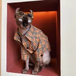 Burberry T-Shirts for Sphynx