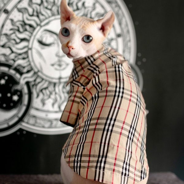 Cat Shirts for Cats-Sphynx wears shirt