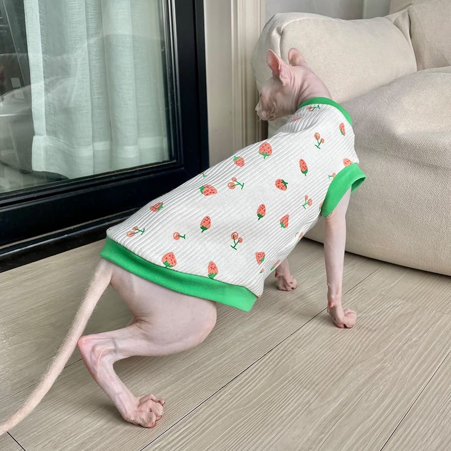 Hairless Cat Clothing | Summer Strawberry Tank Top for Sphynx Cat