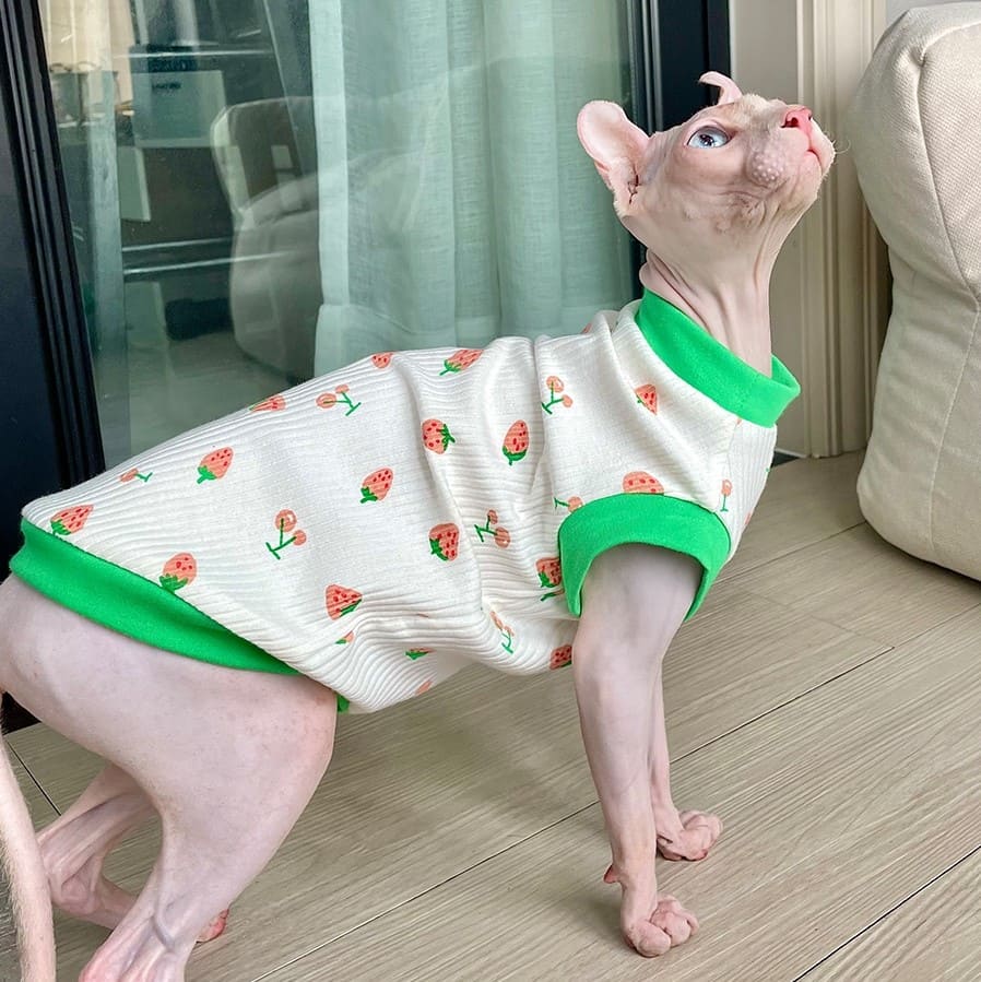 Haarlose Katze Kleidung | Sommer Erdbeere Tank Top für Sphynx Katze