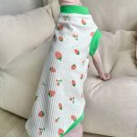 Hairless Cat Clothing | Summer Strawberry Tank Top for Sphynx Cat