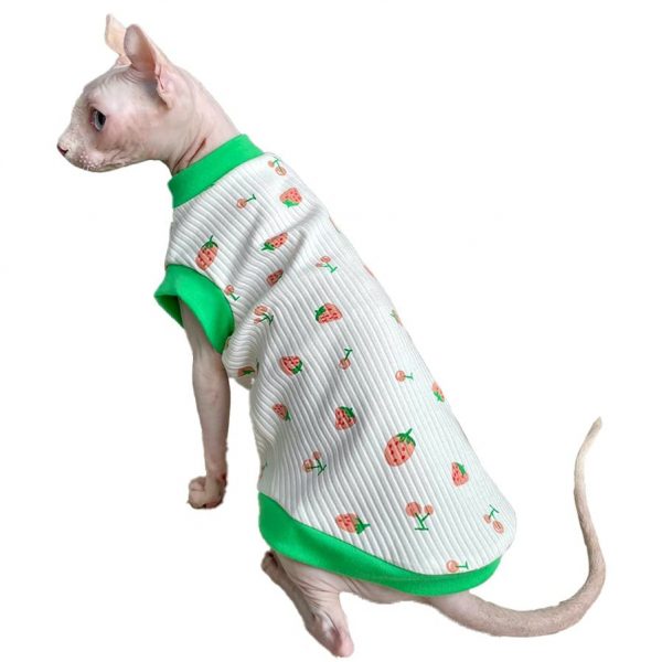 Haarlose Katze Kleidung | Sommer Erdbeere Tank Top für Sphynx Katze