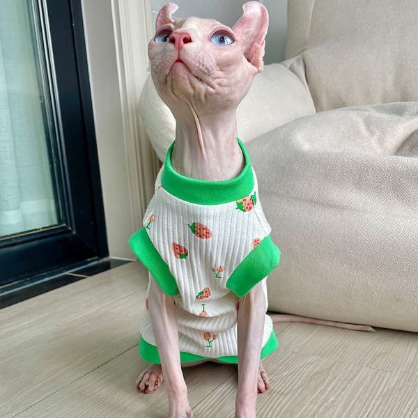 Ropa para gatos sin pelo | Camiseta de verano de fresa para gato Sphynx