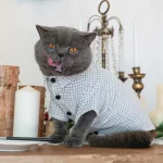 Pure Cotton Plaid Literary Shirts for Cats