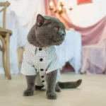 Pure Cotton Plaid Literary Shirts for Cats