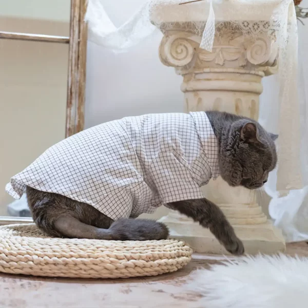 Pure Cotton Plaid Literary Shirts for Cats