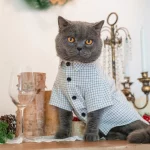 Pure Cotton Plaid Literary Shirts for Cats