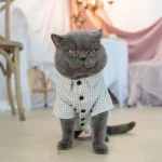 Pure Cotton Plaid Literary Shirts for Cats