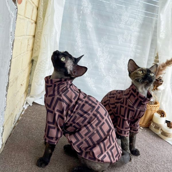 Shirts for Cats-Devon Rex wears fendi shirt