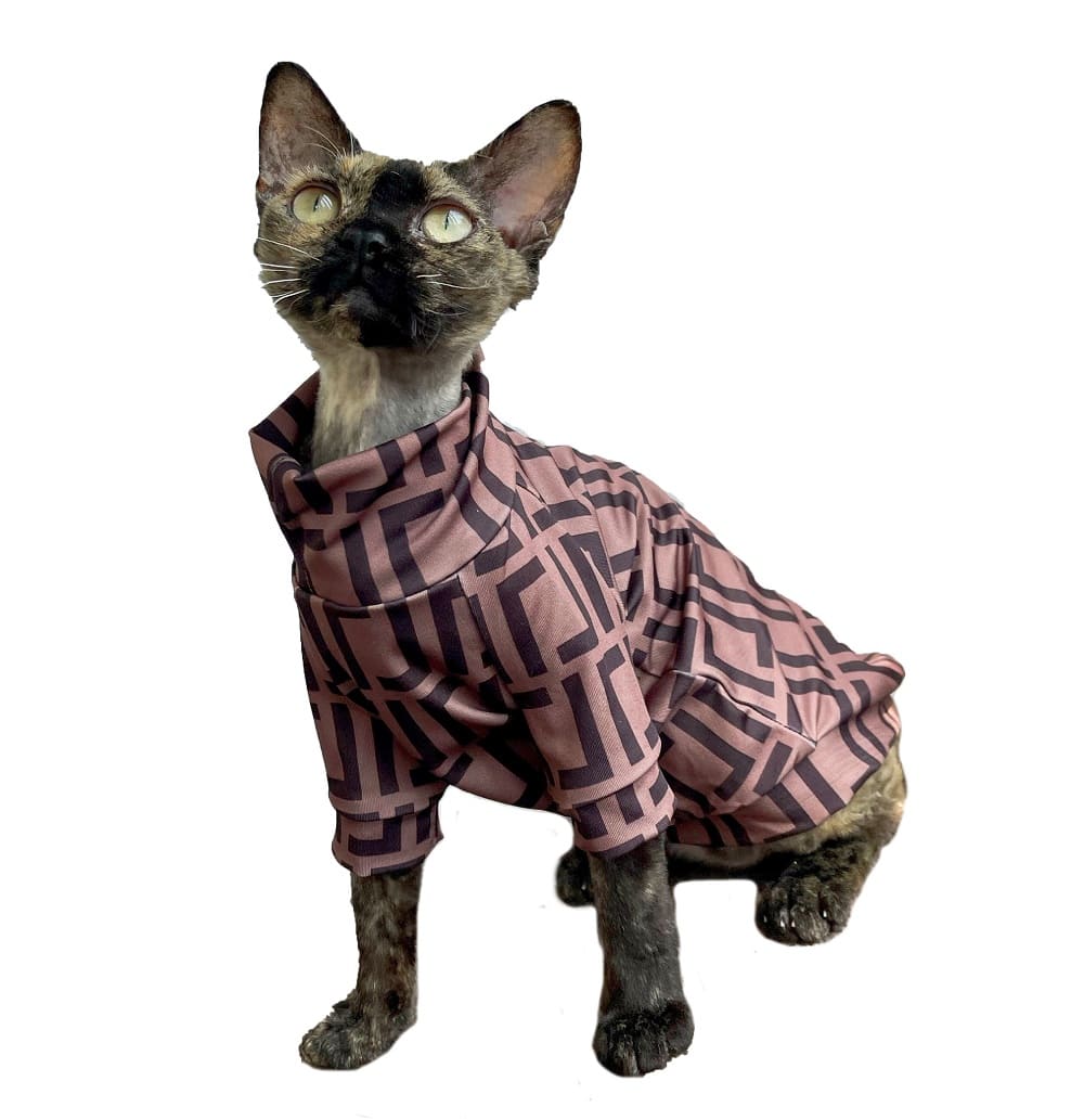 Shirts for Cats-Devon Rex wears fendi shirt