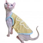 Canotta gatto Sphynx-Sphynx indossa una canotta gialla