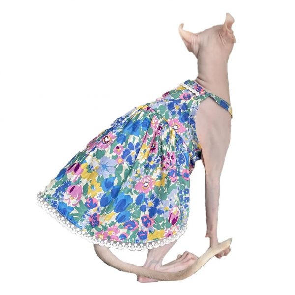 服を着たスフィンクス猫｜スフィンクス用レースブルースカート、ペット用キャットドレス