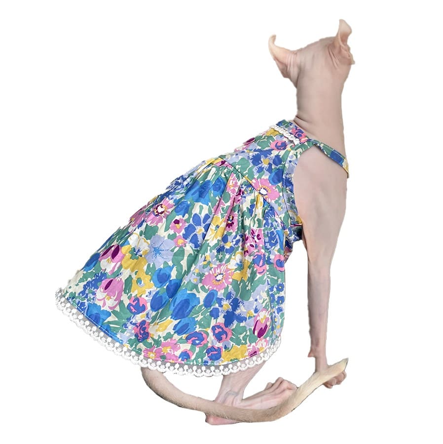 Sphynx Cat in Clothes | Lace Blue Skirt for Sphynx, Pet Cat Dresses