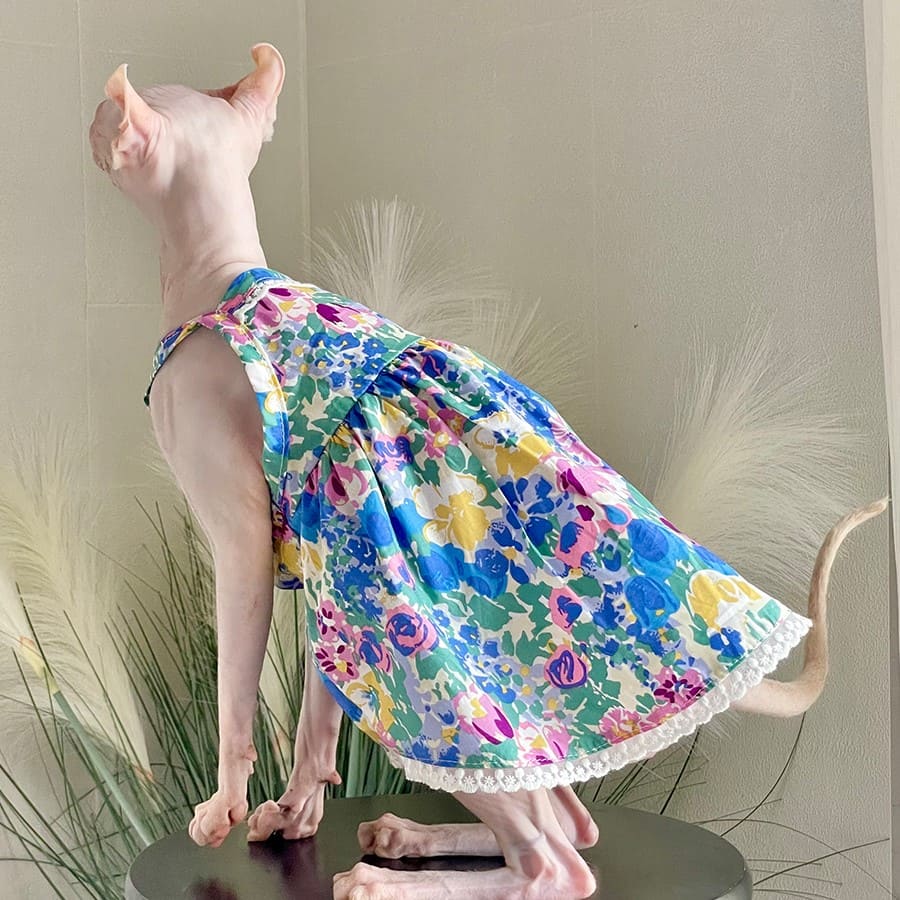 Sphynx Cat in Clothes | Lace Blue Skirt for Sphynx, Pet Cat Dresses