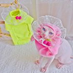 猫用Tシャツ-スフィンクス猫、ピンクのシャツを着る