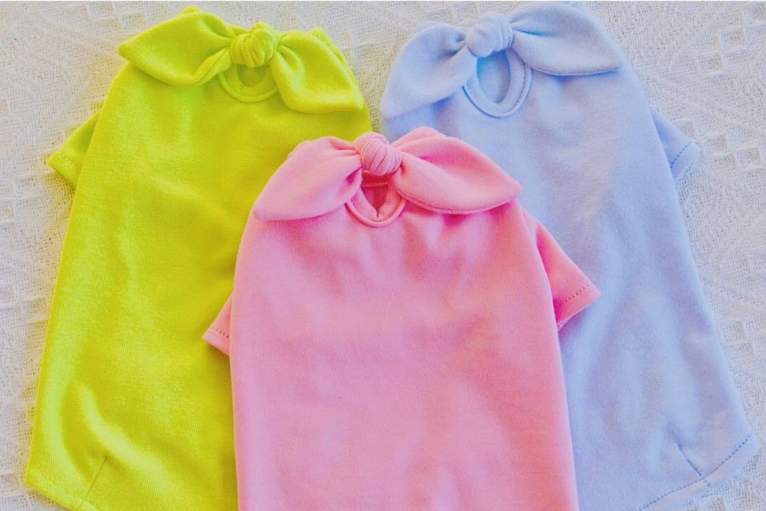 A “Must-Have” Daily shirts for cats.