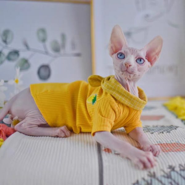 Band Shirts for Cats-Sphynx wears yellow shirt