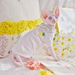 Camicia a quadri per gatti | Camicia gialla per gatti - Magliette con papillon per gatti
