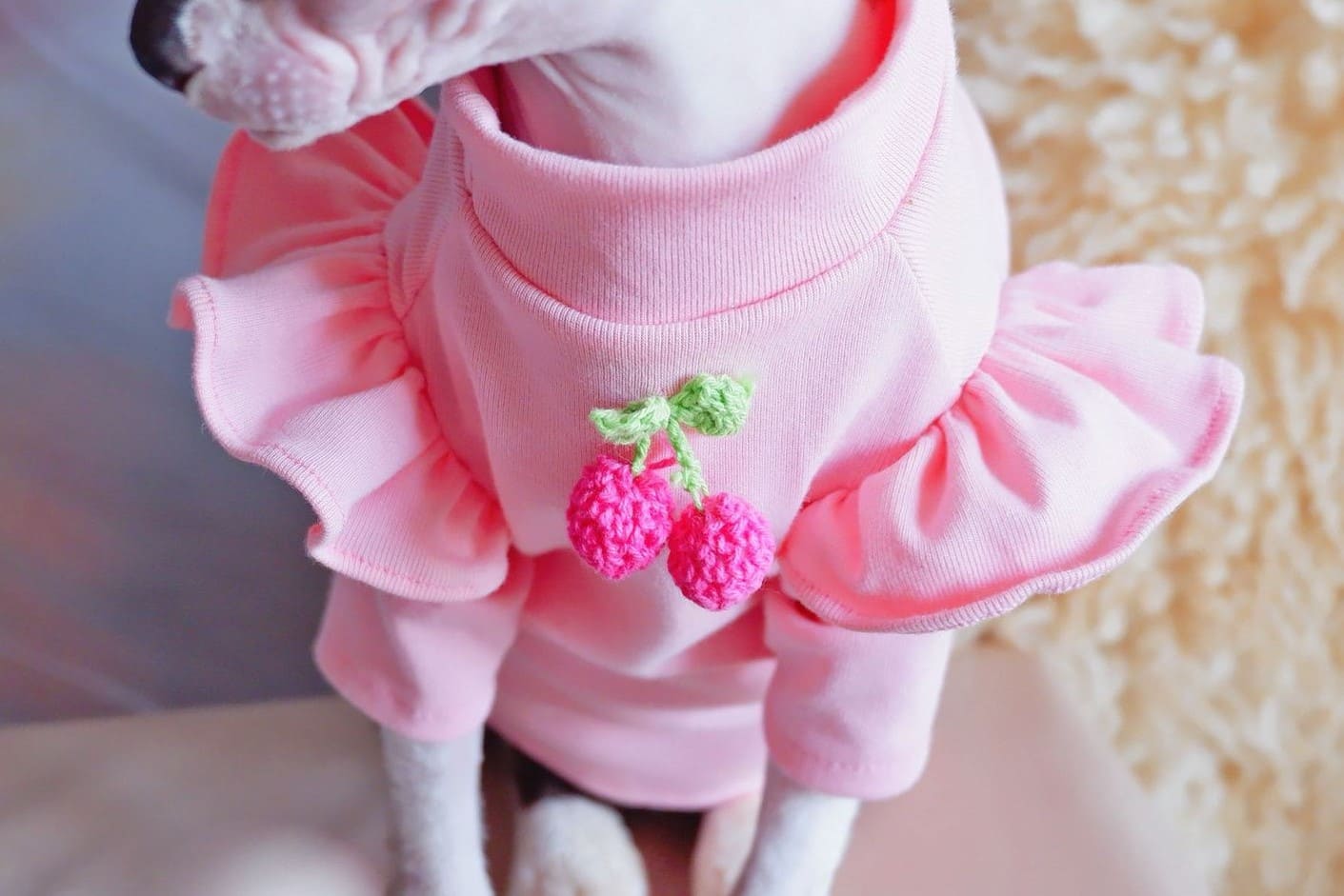 Shirt for Kitten-Details