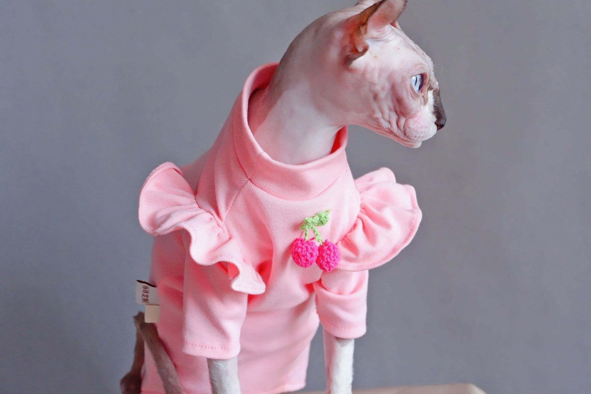 T-Shirts for Hairless Cats & Hairless Cats | Strawberry puff sleeve t-shirts