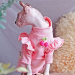 Shirt for Kitten-Sphynx wear shirt