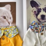 Camisas giras para gatos-amarelos e brancos