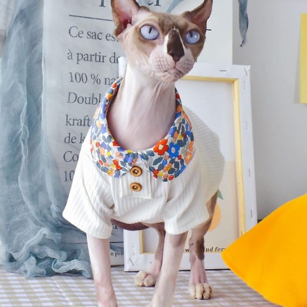 Camisas giras para Cats-Sphynx usam camisa branca