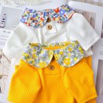 Camisas giras para gatos-amarelos e brancos