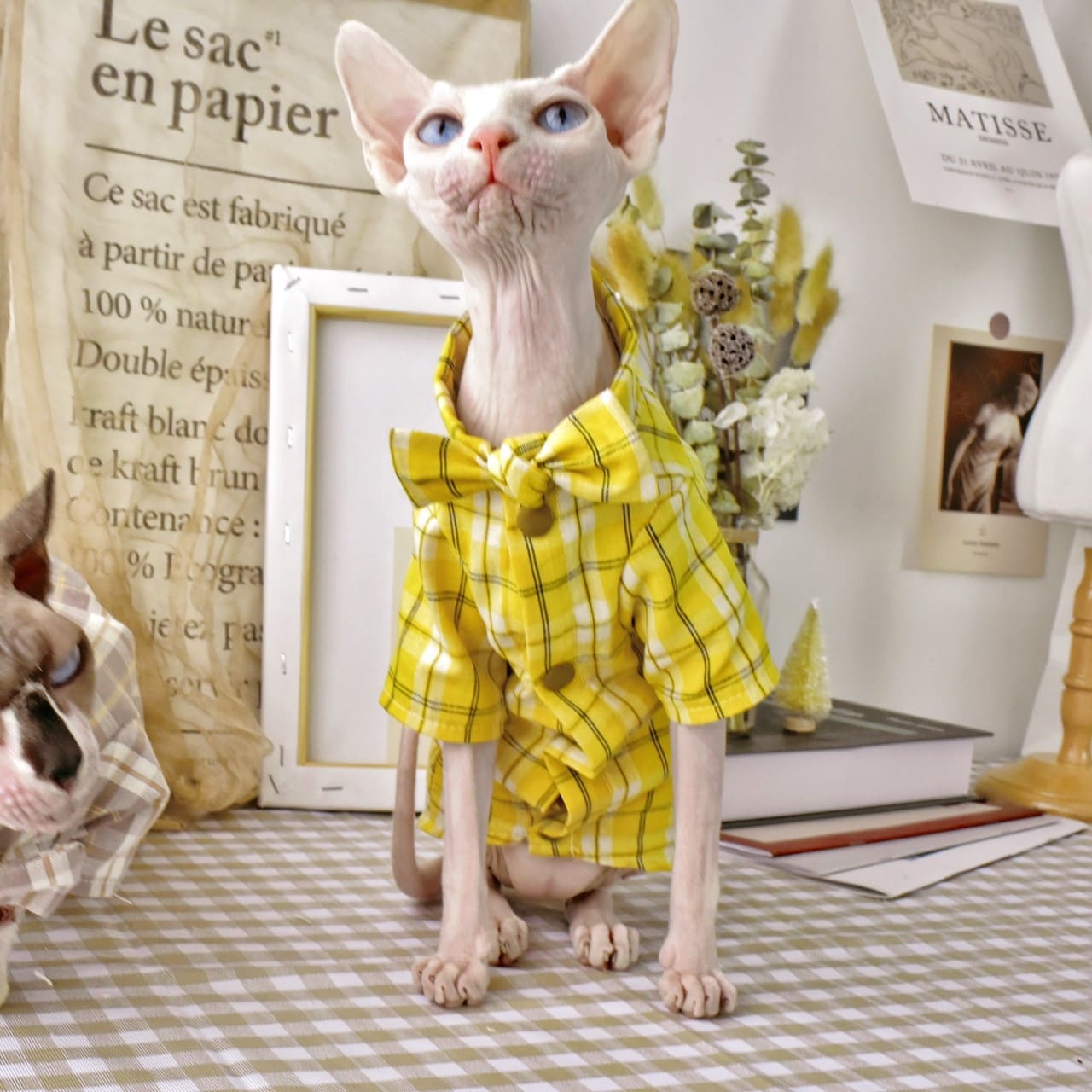 Фланелевая рубашка для кошек - сфинксы носят рубашку