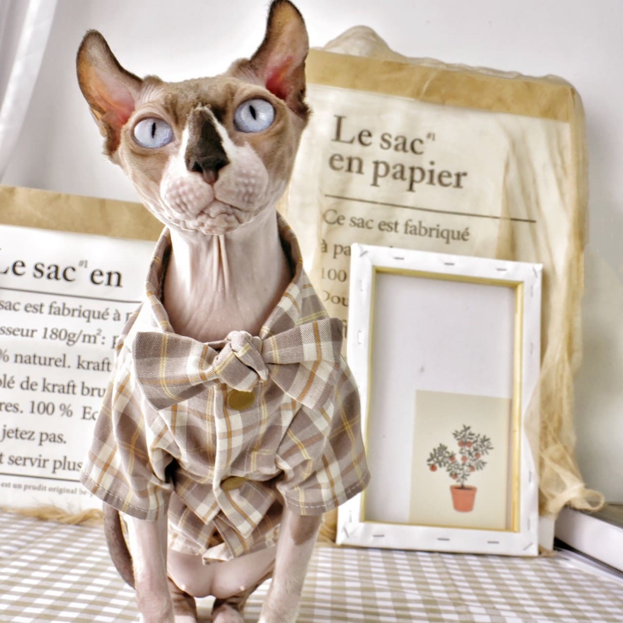 Flanellhemd für Katzen-Sphynx tragen braunes Hemd