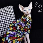 Hemden für Katzen zum Anziehen-Sphynx tragen Hemd