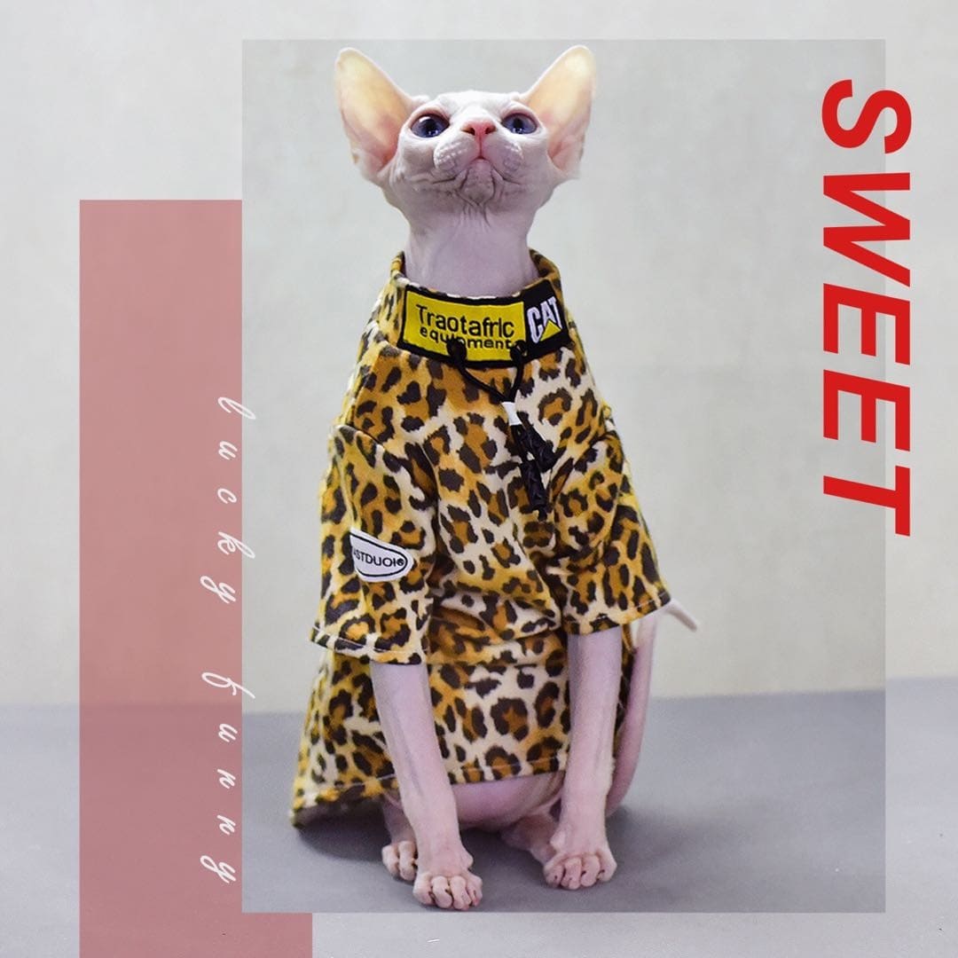 Cat Shirts for Cats Trendy leopard Tshirts Free Shipping Now