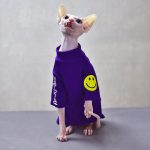 Shirt for Cat-Sphynx wear purple shirt