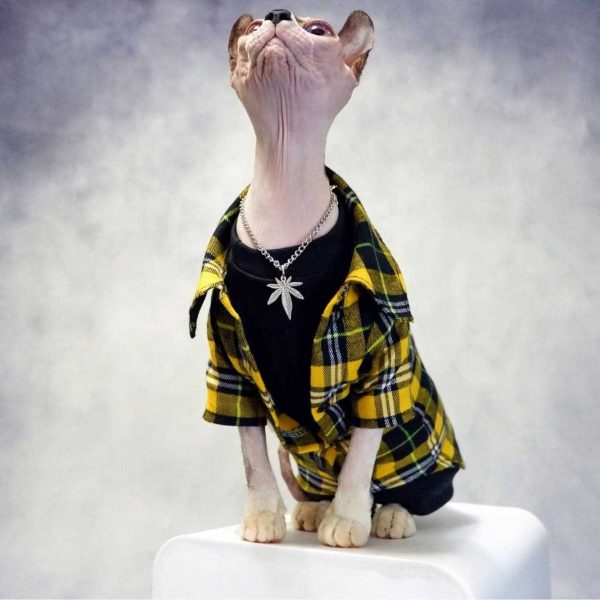 Veste pour chat | Sphynx Cat Jacket, Cool Plaid jacket suit yellow