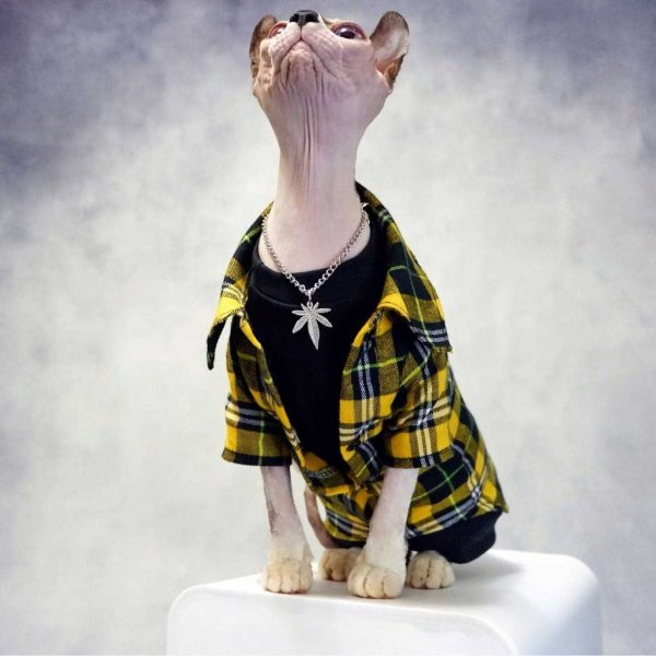 Casaco para um gato | Casaco para um gato Sphynx, casaco Cool Plaid amarelo