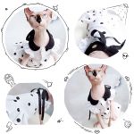 Robes pour chat-Sphynx porte une robe