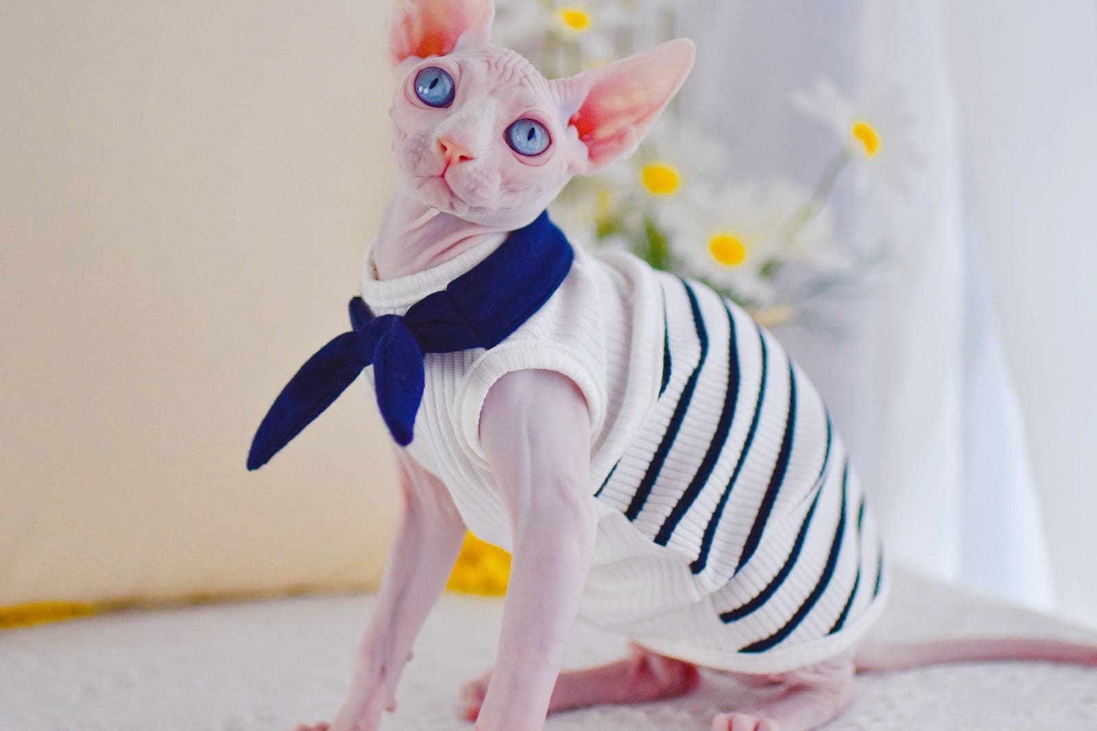スフィンクス キャットタンクトップ｜通気性の良い、猫用セーラー服風タンクトップシャツ