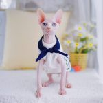 Cat Tank Tops for Sphynx Cats & Hairless Cats | Halter sailor suit
