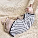 Katze Sommerweste & Tank Top für Sphynx | Halter atmungsaktiv grau gestreift