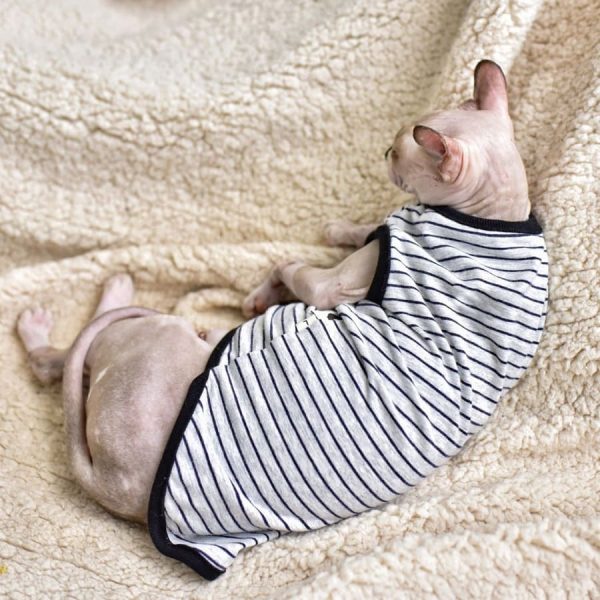 Cat summer vest & Tank Top for Sphynx | Halter breathable grey stripes