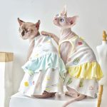 Kleider für Katzen-zwei Sphynx tragen Kleid